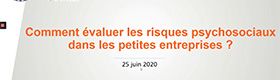 Webinaire - Comment évaluer les risques psychosociaux dans les petites entreprises ?