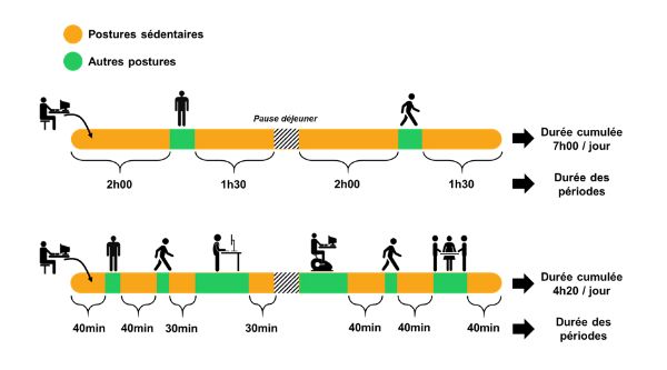 Différents profils de temps passé en postures sédentaires au travail