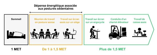 Postures sédentaires et dépense énergétique