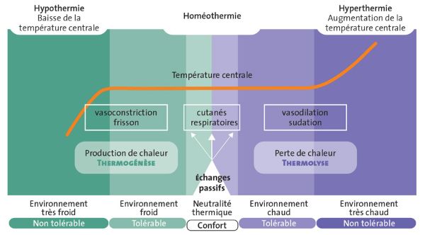 Equilibre des échanges thermiques