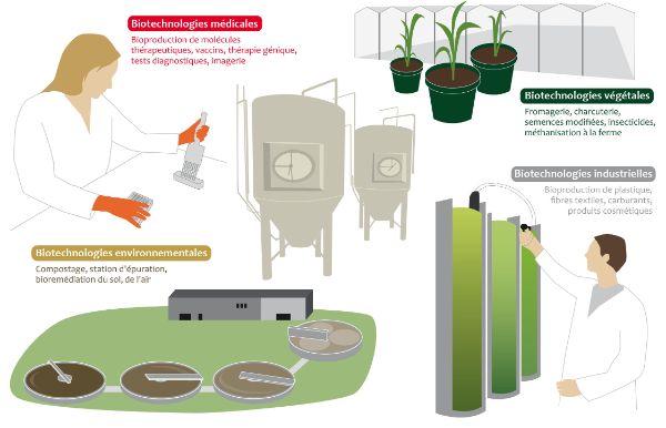 Les applications des biotechnologies