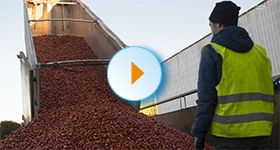 Sur le terrain - Transformation des pommes à la cidrerie CSR